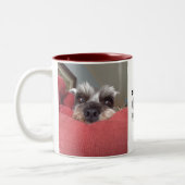 2 Couleurs Tasse de délivrance de Schnauzer de Clarabelle (Gauche)