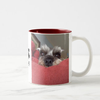 2 Couleurs Tasse de délivrance de Schnauzer de Clarabelle