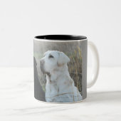 2 Couleurs Tasse de deux laboratoires (Devant droit)