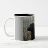 2 Couleurs Tasse de deux laboratoires (Gauche)
