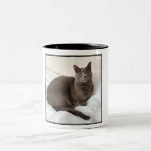 2 Couleurs Tasse de deux tons, chat bleu russe