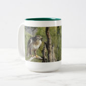 2 Couleurs Tasse de faucon coupée la queue par rouge (Devant gauche)