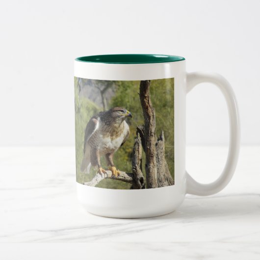 2 Couleurs Tasse de faucon coupée la queue par rouge (Droit)