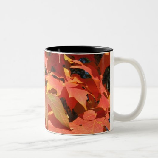 2 Couleurs tasse de feuille (Droit)