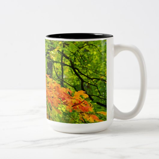 2 Couleurs Tasse de feuille d'automne (Droit)