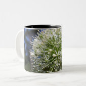 2 Couleurs Tasse de fleur d'allium (Devant gauche)
