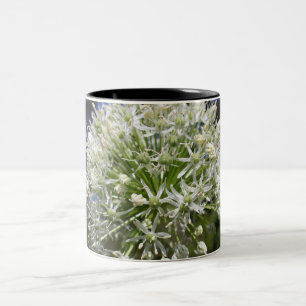 2 Couleurs Tasse de fleur d'allium