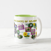 2 Couleurs tasse de fleurs sauvages de hv19 l'Oklahoma (Devant droit)