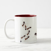 2 Couleurs tasse de fourmi (Gauche)