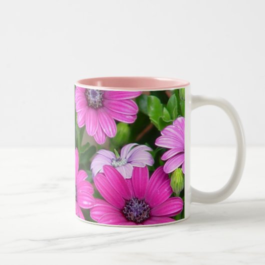 2 Couleurs Tasse de géranium de Cranesbill (fleurs roses) (Droit)