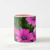 2 Couleurs Tasse de géranium de Cranesbill (fleurs roses) (Centre)