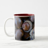 2 Couleurs Tasse de gland (Gauche)