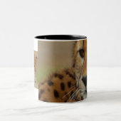 2 Couleurs Tasse de guépard (Centre)