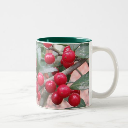 2 Couleurs Tasse de houx de Yaupon (Droit)