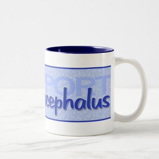 2 Couleurs Tasse "de hydrocéphalie de soutien" (Droit)