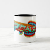 2 Couleurs Tasse de Killifish de Fundulopanchax Gardneri (Centre)
