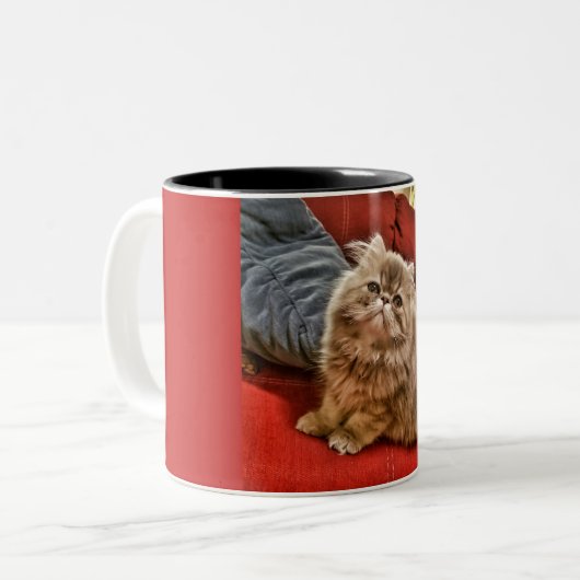 2 Couleurs Tasse de Kitty de Persan (Devant gauche)