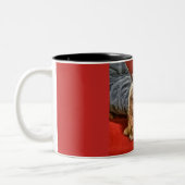 2 Couleurs Tasse de Kitty de Persan (Gauche)