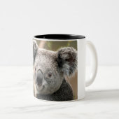 2 Couleurs Tasse de koala (Devant droit)