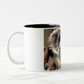 2 Couleurs Tasse de koala (Gauche)