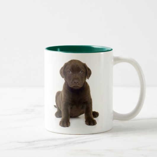 2 Couleurs Tasse de Labrador de chocolat (Droit)