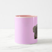 2 Couleurs Tasse de lapin (Centre)