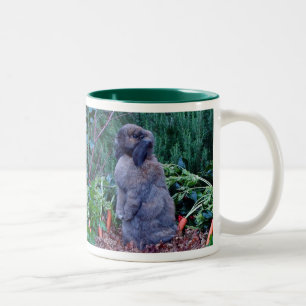 2 Couleurs Tasse de lapin - customisée