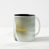 2 Couleurs Tasse de lis d'arum (Devant droit)