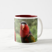 2 Couleurs Tasse de Lory (Devant droit)