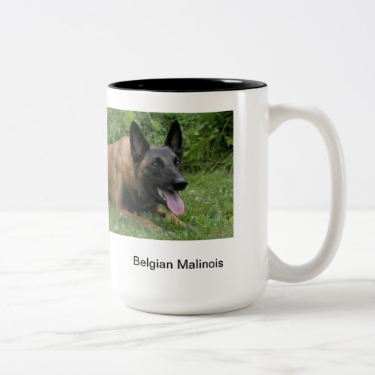 2 Couleurs Tasse de Malinois de Belge (Droit)