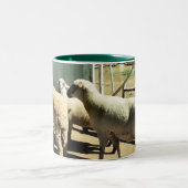 2 Couleurs Tasse de moutons (Centre)