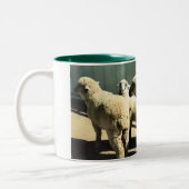 2 Couleurs Tasse de moutons (Gauche)