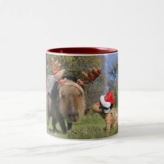 2 Couleurs Tasse de Noël de Caplin Rous (Centre)