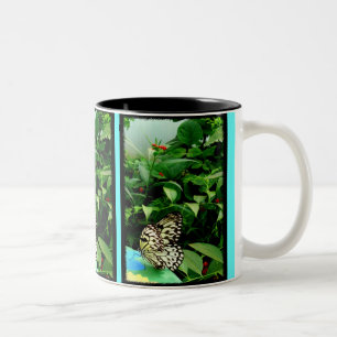 2 Couleurs Tasse de papillon