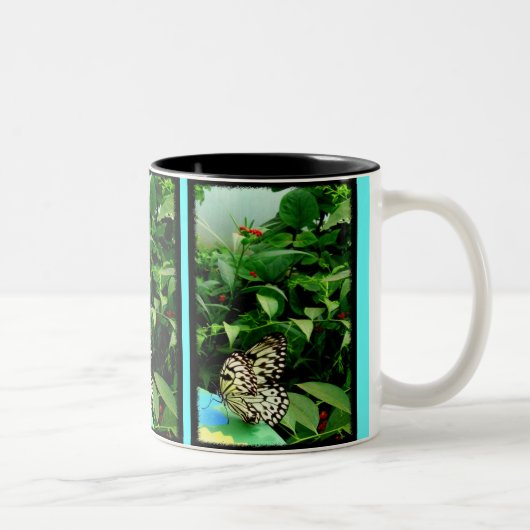 2 Couleurs Tasse de papillon (Droit)