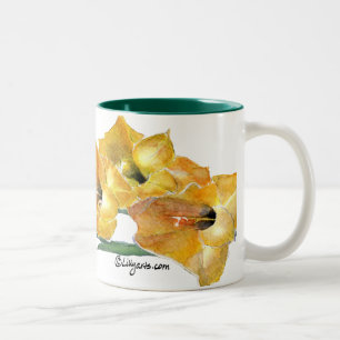 2 Couleurs Tasse de peinture d'aquarelle de Gladiola