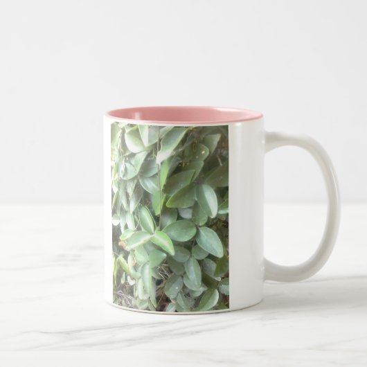 2 Couleurs tasse de photo de qualité (Droit)