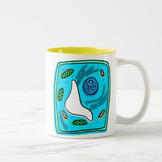 2 Couleurs Tasse de photosynthèse (Droit)
