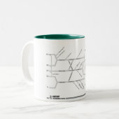 2 Couleurs Tasse de plexus brachial (Devant gauche)