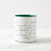 2 Couleurs Tasse de plexus brachial (Centre)