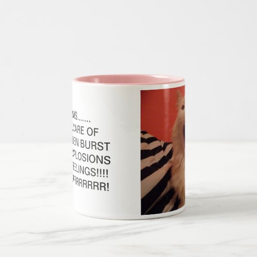 2 COULEURS TASSE DE PMS (Centre)