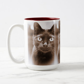 2 Couleurs Tasse de Pywacket Potrait I