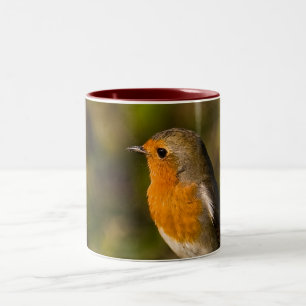 2 Couleurs Tasse de Robin d'hiver