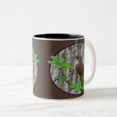 2 Couleurs Tasse de roitelet de bébé (Devant droit)