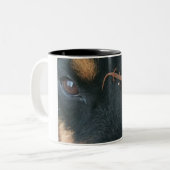 2 Couleurs Tasse de rottweiler et de salamandre (Devant gauche)