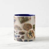 2 Couleurs Tasse de Sherds de navire (Centre)
