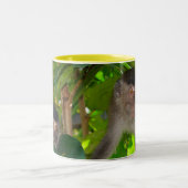 2 Couleurs Tasse de singes de Macaque (Centre)