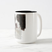 2 Couleurs Tasse de springer spaniel (Devant droit)