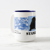 2 Couleurs Tasse de Stanley (Devant gauche)