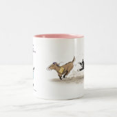 2 Couleurs Tasse de STC. (Centre)